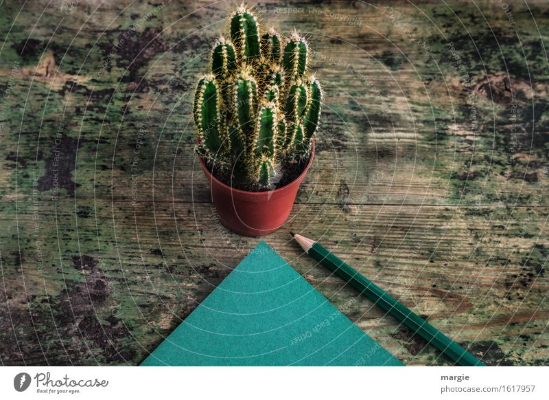 Clever message: a cactus in a flowerpot and a green notepad with a pencil on an old wooden table Study Profession Office work Workplace Advertising Industry