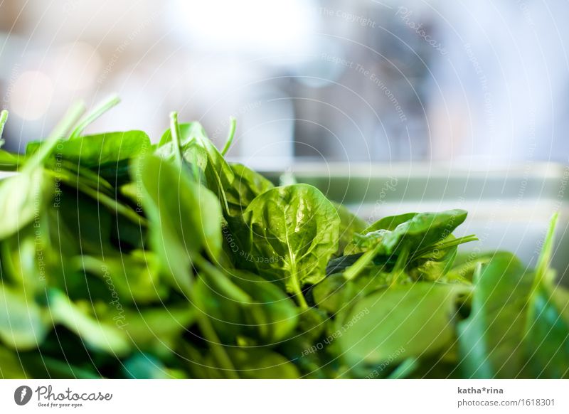 leaf.spinach Food Vegetable Lettuce Salad Spinach Spinach leaf Fresh Healthy Green Colour photo Interior shot Close-up Detail Deserted Copy Space top