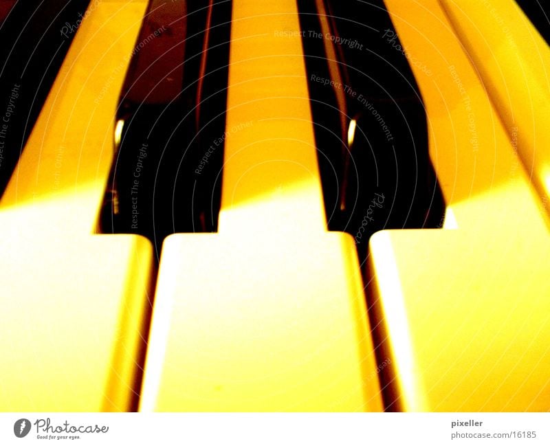 piano Piano Yellow Black Leisure and hobbies Touch Music Musical notes