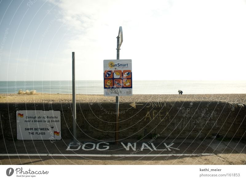 Ireland in March_1 Beach Catwalk Ocean Coast Sun Summer Joy Warm-heartedness Sky Funny Dog Irony