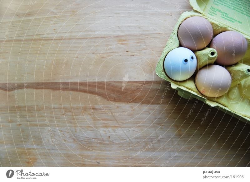 Egg Egg Egg Colour photo Interior shot Close-up Detail Deserted Copy Space left Copy Space top Copy Space bottom Copy Space middle Day Shadow Bird's-eye view