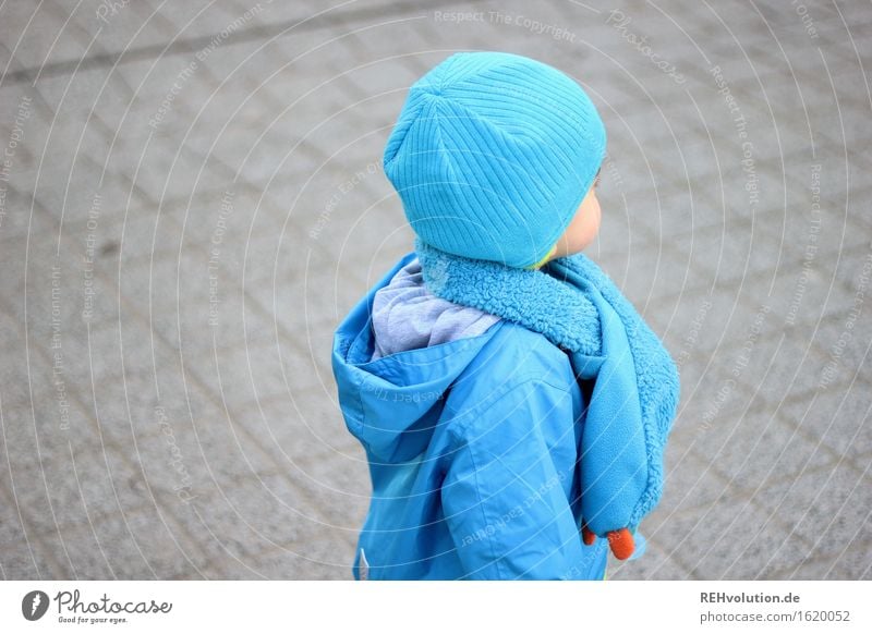 Child with cap Human being Toddler Boy (child) 1 1 - 3 years Street Jacket Scarf Cap Discover Going Stand Authentic Small naturally Curiosity Cute Blue Gray