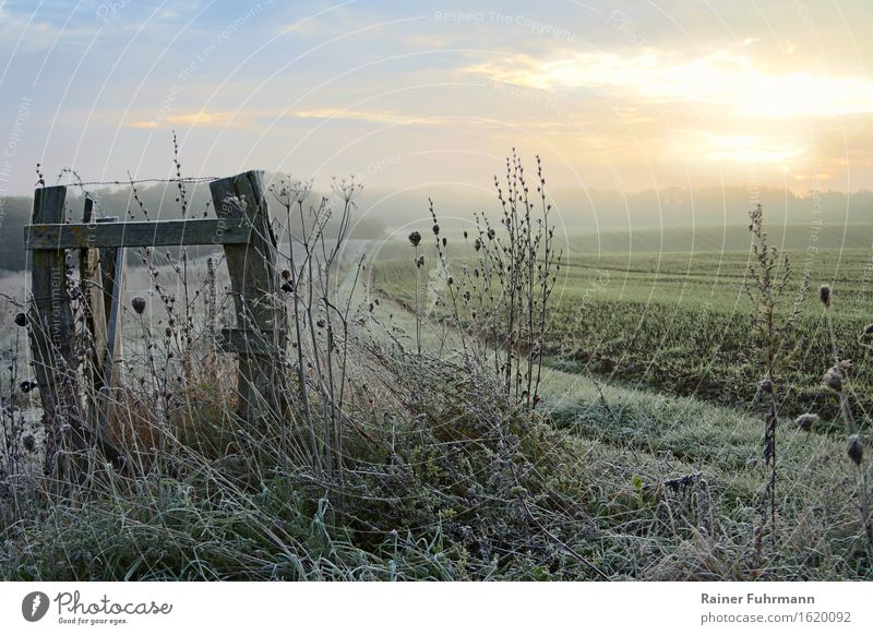 a sunrise on a frosty meadow Landscape Beautiful weather Field Observe Relaxation To enjoy Hiking Esthetic Natural Calm Nature "Light Bright chill clear