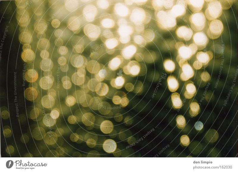 very accurately blurred Blur Glass Light Door Rain Gold Glimmer Background picture Point Pattern Distributed Warmth Celestial bodies and the universe