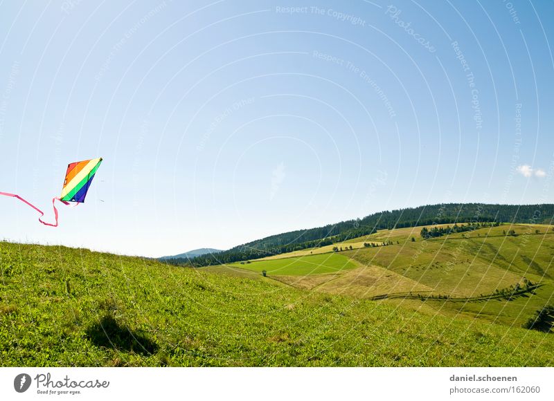 Schauinsland without snow Wind Kite Kiting Colour Multicoloured Summer Aviation Weather Light Sky Blue Spring Playing