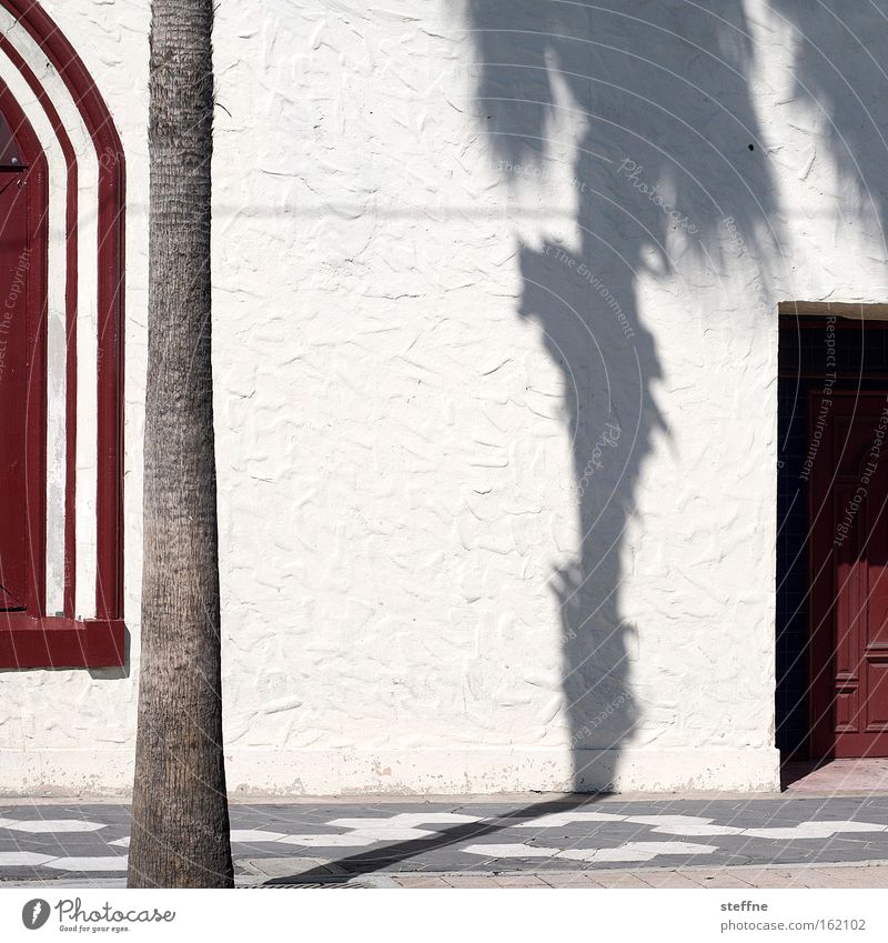 Under palm trees Palm tree Shadow Wall (building) Red White Sun Door Plaster Hot Vacation & Travel Spain Spanish Florida Tampa USA Detail Summer ybor