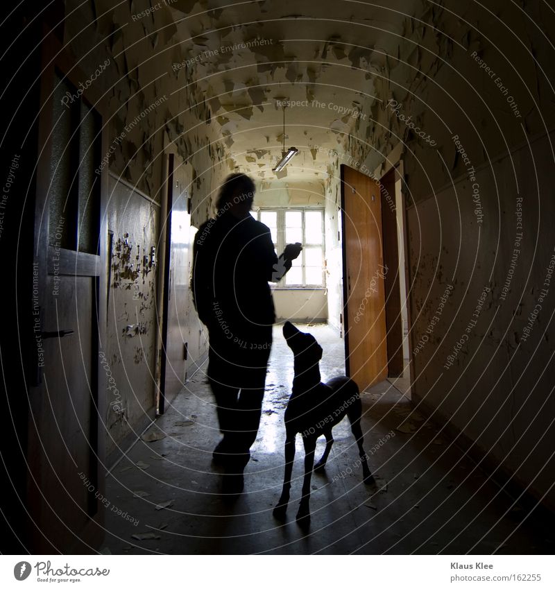 MY TRIP OVER 50 METERS :::::::. Dog Man Silhouette Corridor Building for demolition Old Human being Trust Affection Love Relationship Consistent Love of animals