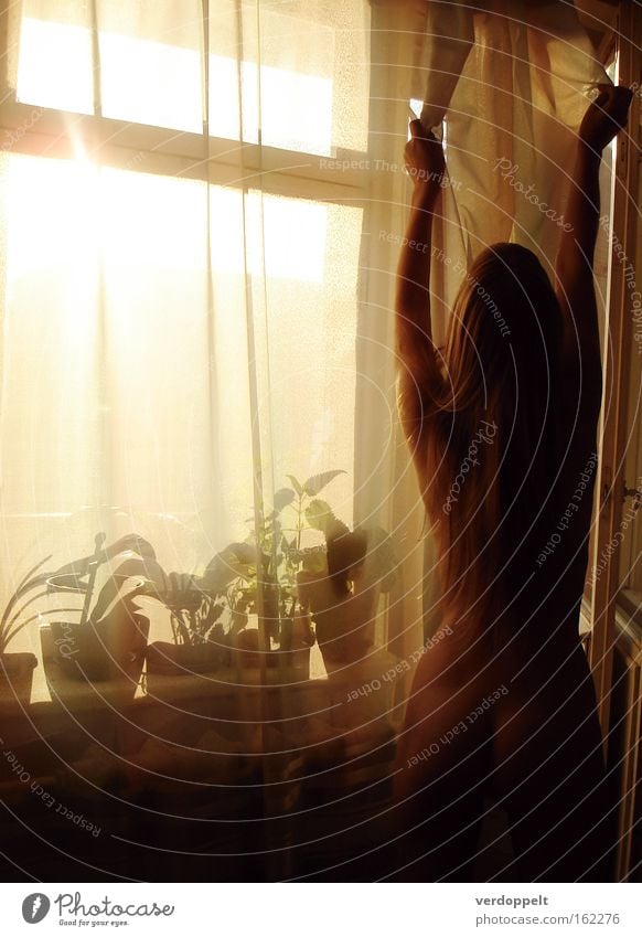 0_13 Naked Nude photography Morning Woman Sunlight Light Light (Natural Phenomenon) Shadow Yellow Flower Window Curtain Flowerpot Silhouette Living or residing