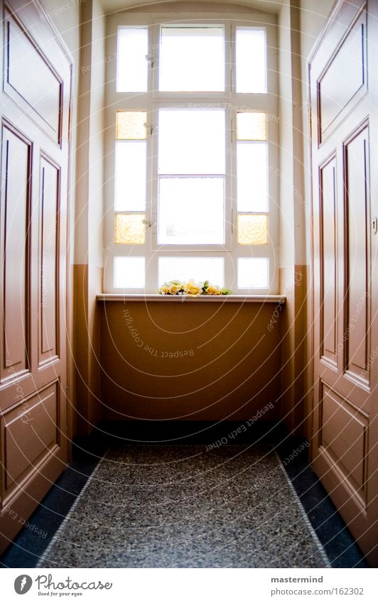 hallway Light Stairs Glass Historic Hallway Old building Staircase (Hallway) Dance floor Portrait format doors sun