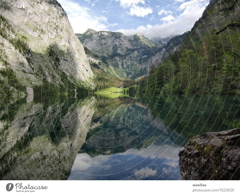 Mighty Mirror Lake Mountain Landscape Water Beautiful weather Tree Forest Rock Berchtesgaden Alpes Lakeside Lake Obersee Germany Europe Deserted Hut