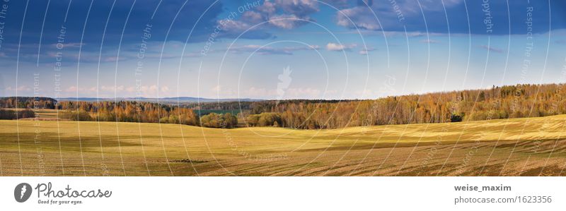 Sunny spring fields in the evening Beautiful Summer Nature Landscape Air Sky Clouds Spring Beautiful weather Tree Grass Meadow Field Forest Hill Growth Bright