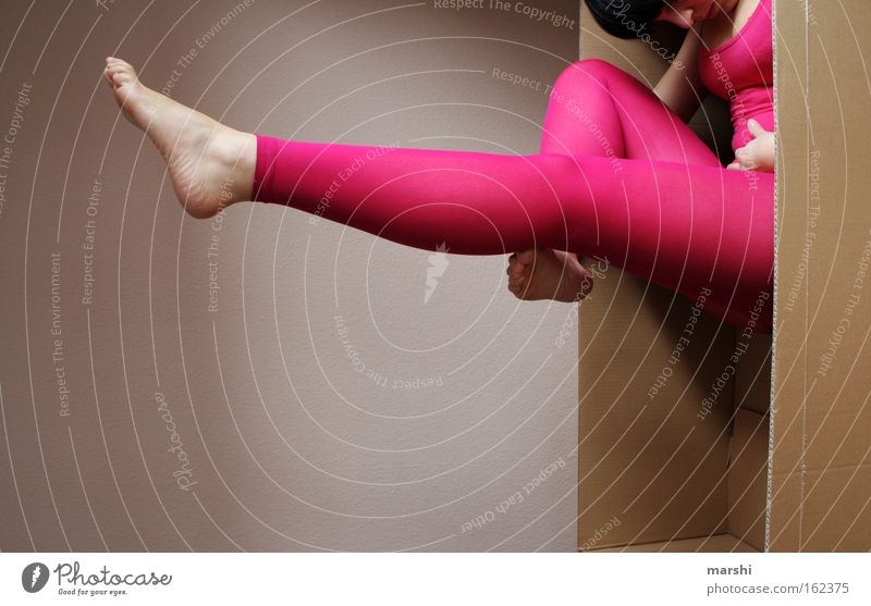 cartoon-gym Colour photo Joy Body Playing Dance Yoga Woman Adults Legs Feet Stage play Shows Traffic infrastructure Fashion Tights Retro Pink Flexible