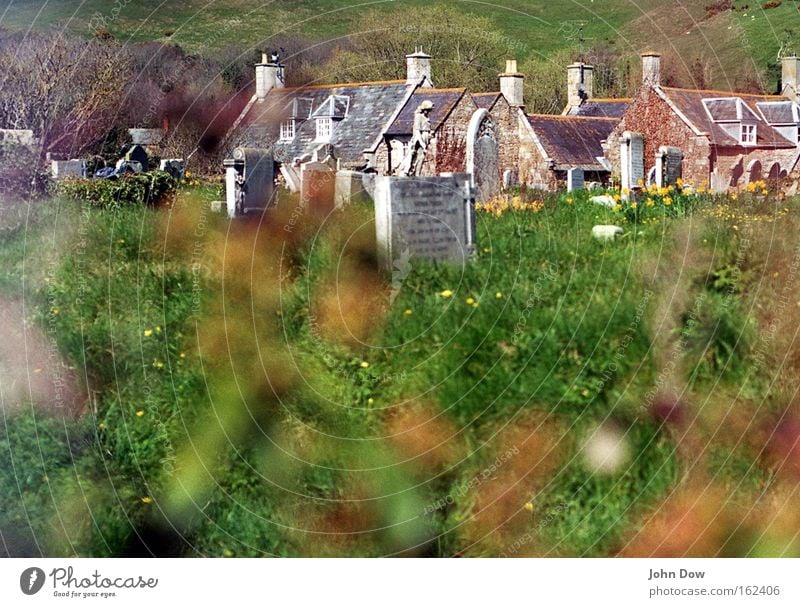 Sleepy nest Deserted Copy Space bottom Day Blur Living or residing House (Residential Structure) Beautiful weather Grass Bushes Village Chimney Tombstone Sign