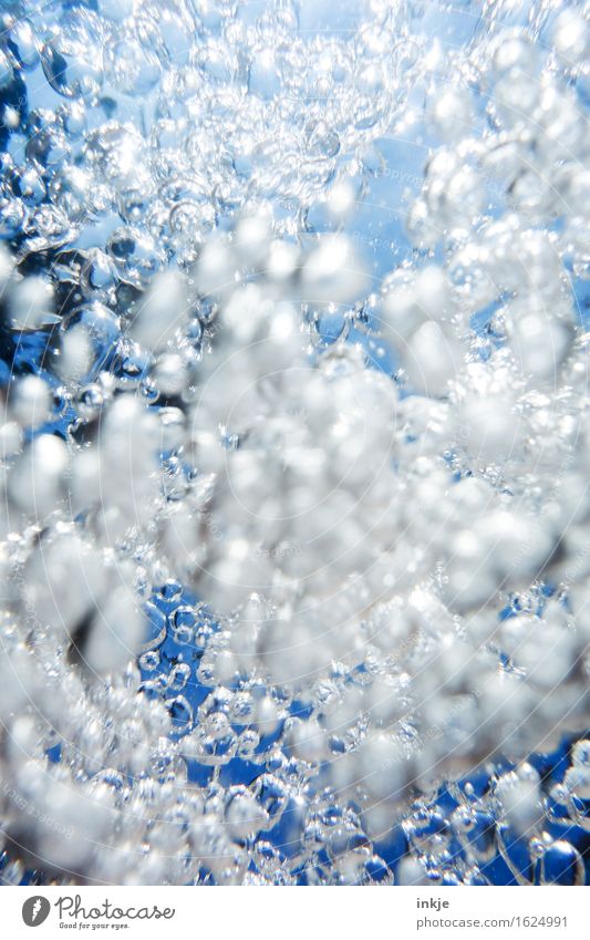 underwater bubbler Elements Air Water Air bubble Bubble Fresh Clean Wild Blue White Many Movement Muddled Blue sky Fill Colour photo Underwater photo