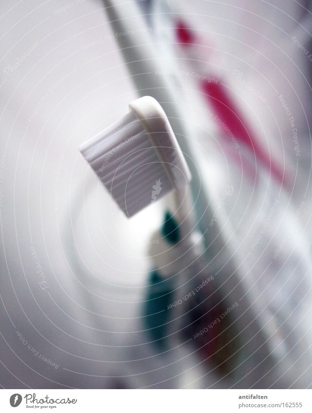 Dental care times 2 Glass Personal hygiene Toothbrush Toothbrush mug Bristles Clean Colour photo Interior shot Blur Shallow depth of field Copy Space bottom