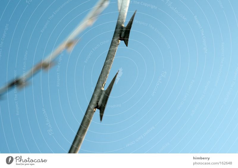 barbwire Colour photo Exterior shot Close-up Detail Macro (Extreme close-up) Deserted Copy Space right Copy Space bottom Day Contrast Blur