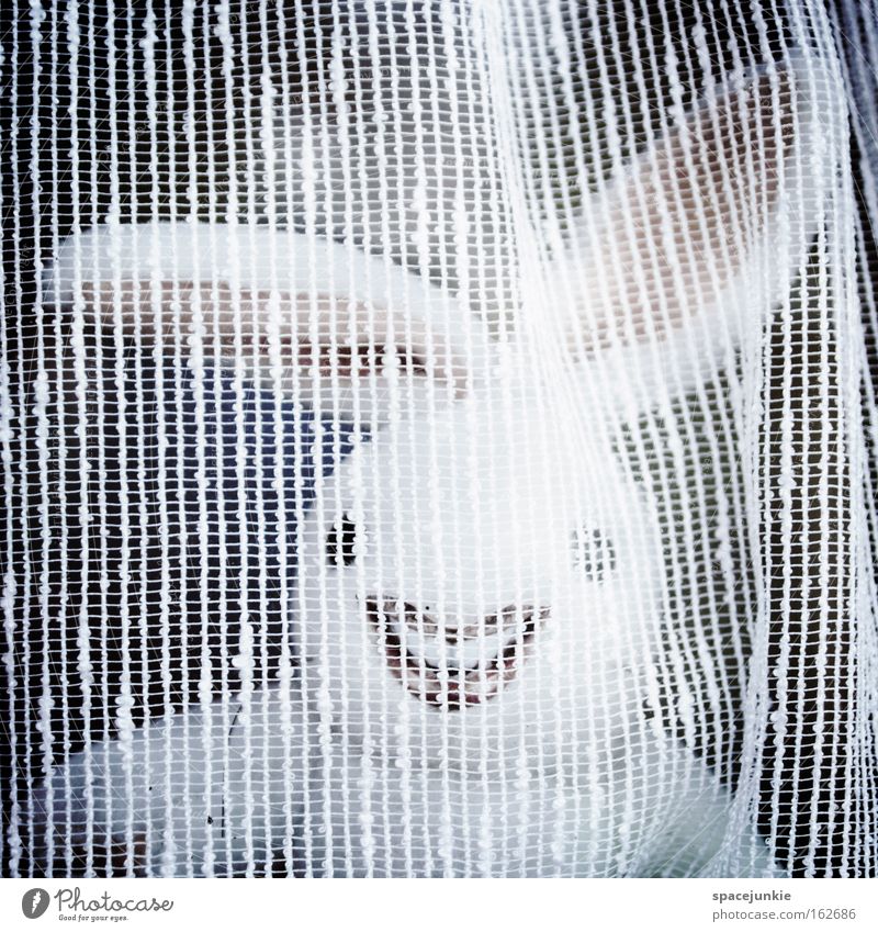 Behind the curtain Hare & Rabbit & Bunny Easter Crazy Freak Easter egg Laughter Ear Curtain Hiding place Joy Easter Bunny