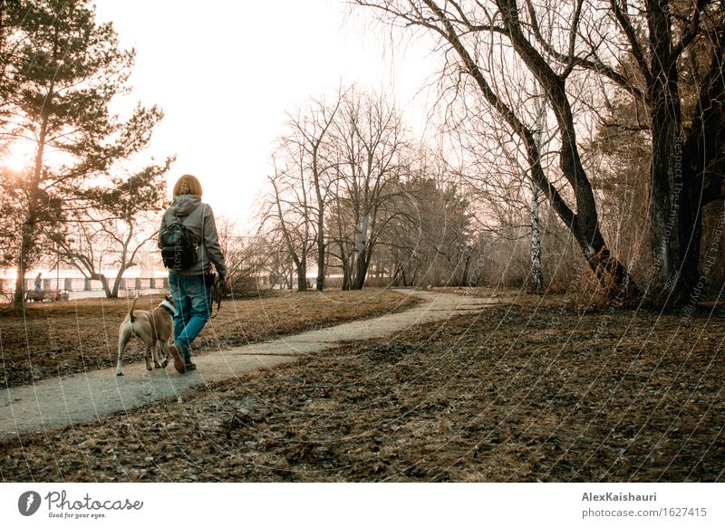 Young woman is walking with her dog in the evening park. Lifestyle Vacation & Travel Trip Adventure Freedom City trip Human being Youth (Young adults) 1