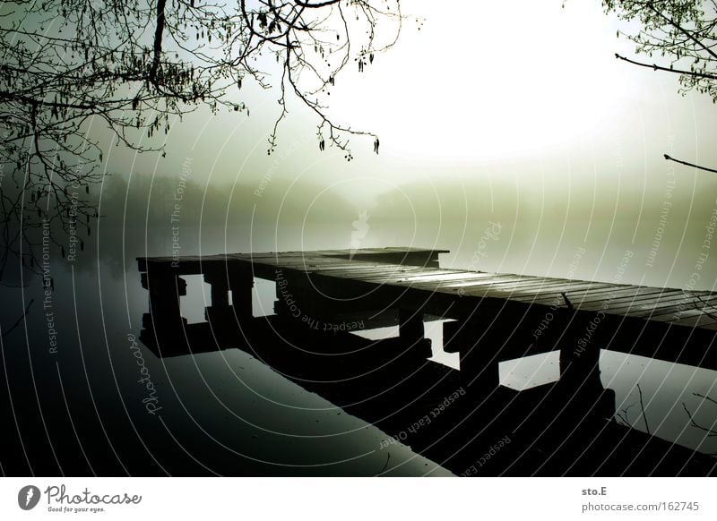 footbridge Lake Body of water Nature Landscape Footbridge Jetty Wood Horizon Coast Lakeside Branchage Reflection Back-light Fog Moody Morning Water Calm