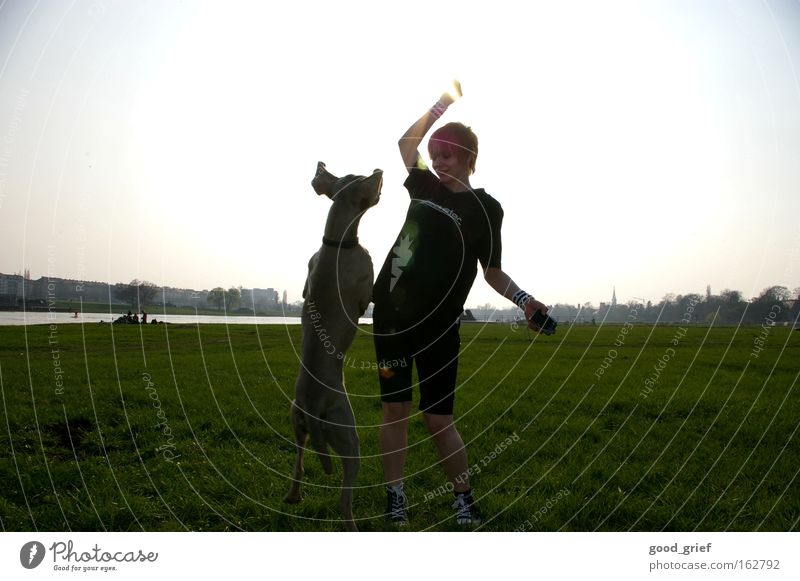 [DD|Apr|09] Light traps Dog Sun Elbe Dresden Woman Meadow Elbufer Grass Jump Joy Fitness Mammal tia