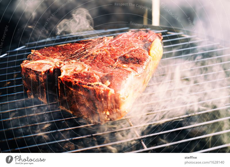 Meat is my meat Eating Barbecue (event) Steak t-bone porterhouse Smoke Sense of taste American Cuisine BBQ season Barbecue (apparatus) Juicy Colour photo
