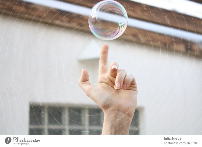 oh, look. Joy Ball Hand Fingers Wood Sphere Round Soap bubble Clarity Magic Whirlpool Colour photo Exterior shot Day Reflection Central perspective