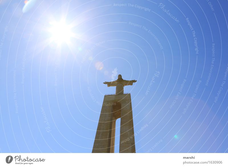above all... Religion and faith Belief Think Statue Lisbon Jesus Christ Tourist Attraction Tall Height Back-light Sun Bright Brilliant Olive tree Portugal