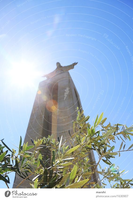 Criso Rei Religion and faith Belief Think Statue Lisbon Jesus Christ Tourist Attraction Tall Height Back-light Sun Bright Brilliant Olive tree Portugal