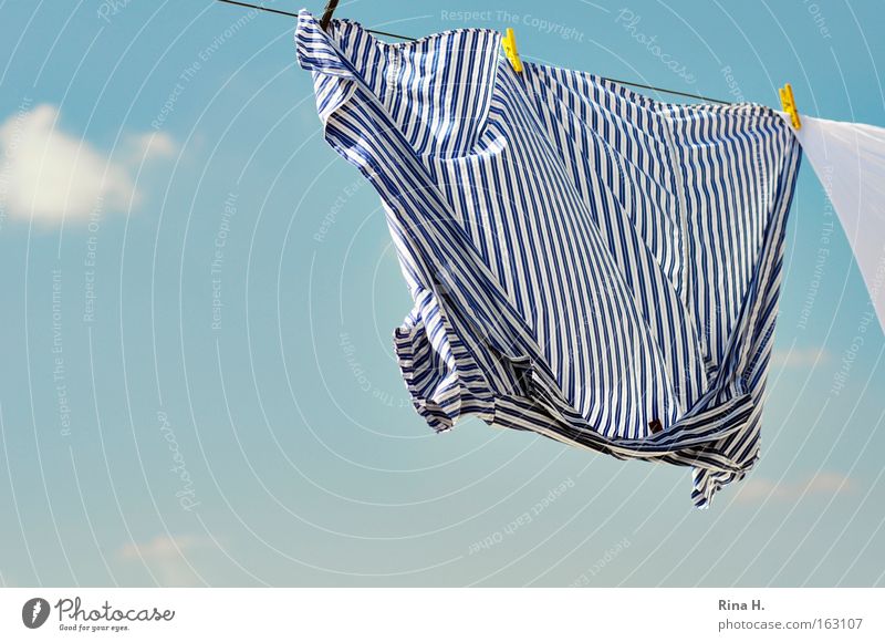 Striped shirt on clothesline Colour photo Exterior shot Detail Deserted Copy Space left Copy Space bottom Morning Sunlight Sunbeam Wide angle Joy Happy Summer