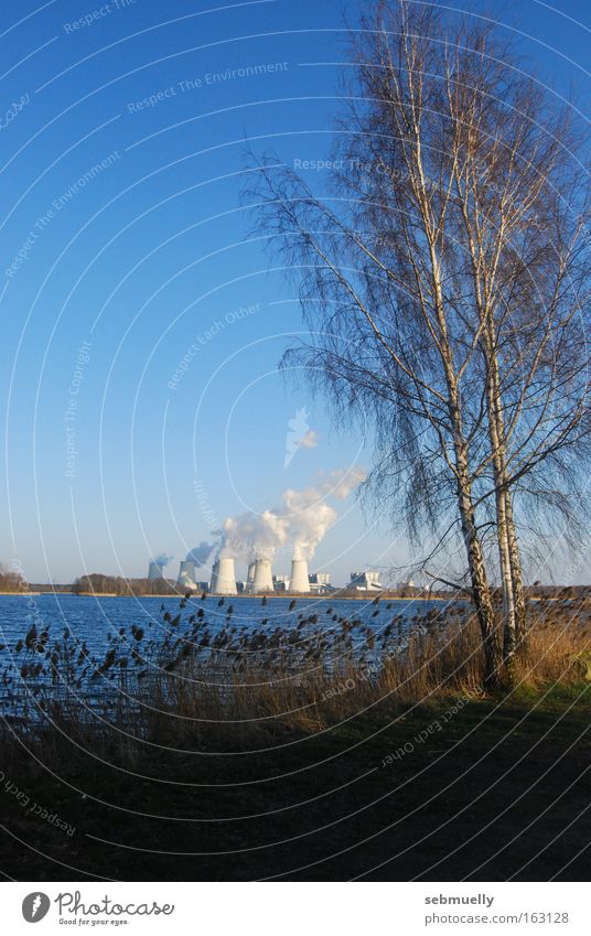 energy landscape Electricity generating station Nature Tree Birch tree Water Lake Landscape Energy industry Idyll Industry Lausitz forest Lignite Cottbus