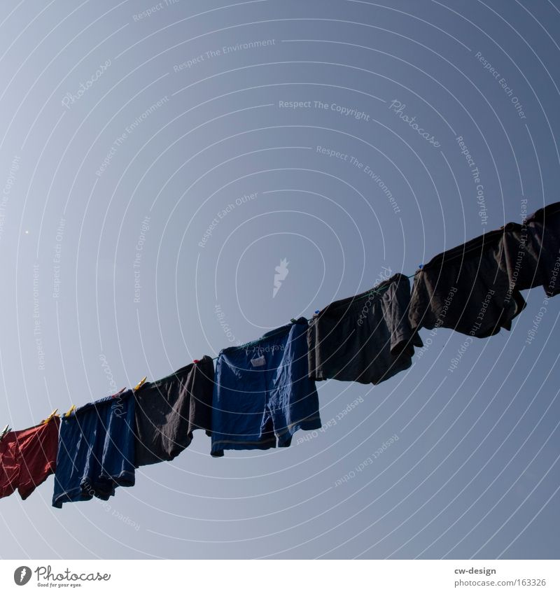 Friday is washing day Clothing T-shirt Shorts Men's underpants Clothesline Laundry Sky Washing day Underpants Underwear Household Summer summer-fresh nicki
