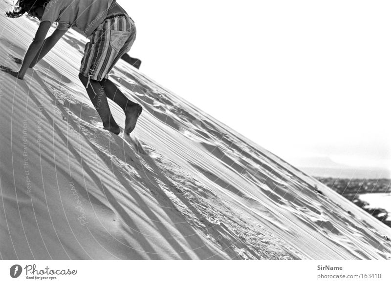 79 [dune climbing] Joy Playing Vacation & Travel Far-off places Beach Ocean Climbing Mountaineering Child Boy (child) Sand Touch Movement Crawl Beach dune Dune