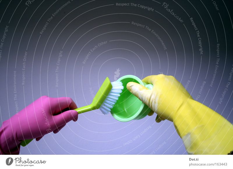 rinsing hands Gloves Do the dishes Action Left-handed Protection Hand Household Colour Kitchen dishwashing brush swab Clean colorful pink yellow green