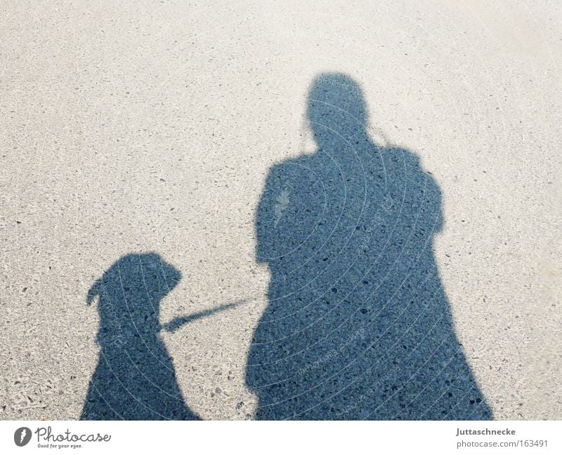 Mr and G´scher Shadow Silhouette Dog Human being Walk the dog To go for a walk Leashed Elapse Communicate Mammal Rope In pairs double pack pet owners