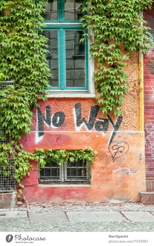 No way Foliage plant Virginia Creeper Berlin House (Residential Structure) Manmade structures Building Wall (barrier) Wall (building) Facade Window Characters