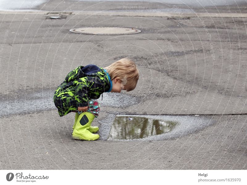 little boy with yellow rubber boots and black and yellow jacket squats in front of a puddle and looks at his reflection in wonder Human being Masculine Toddler