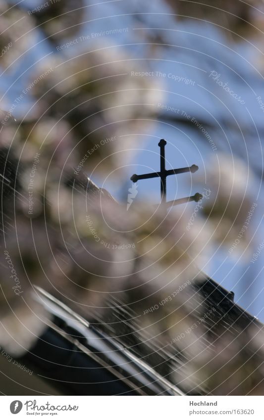 Clear Church Colour photo Subdued colour Exterior shot Structures and shapes Deserted Copy Space right Copy Space top Morning Silhouette Sunlight Blur