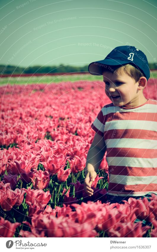 flower lover Trip Freedom Summer Child Human being Boy (child) 1 3 - 8 years Infancy Environment Nature Landscape Plant Sky Spring Beautiful weather Flower