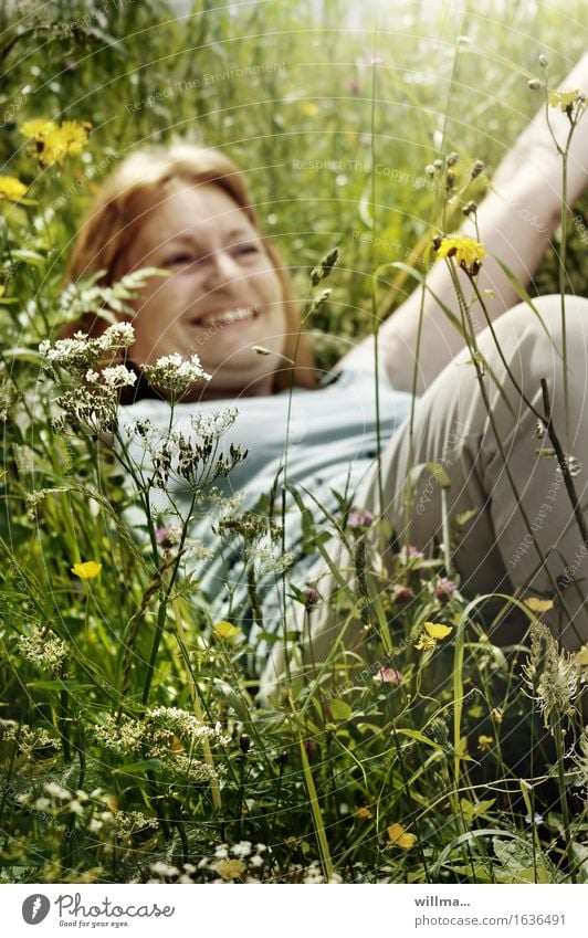 adult, mature woman lies in the high grass and laughs Woman Adults Meadow Flower meadow To enjoy Smiling Lie Natural Joy Happy Happiness Contentment