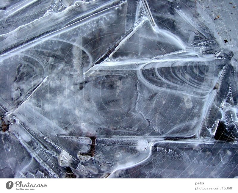 ice layer Nature Ice Frost Street Esthetic Exceptional Thin Beautiful Fragile Colour photo Exterior shot Pattern Bird's-eye view