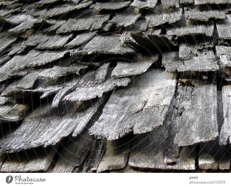 shingle roof Craft (trade) Roof Dry Roofing tile Charcoal gray Derelict bent up Colour photo Exterior shot Worm's-eye view