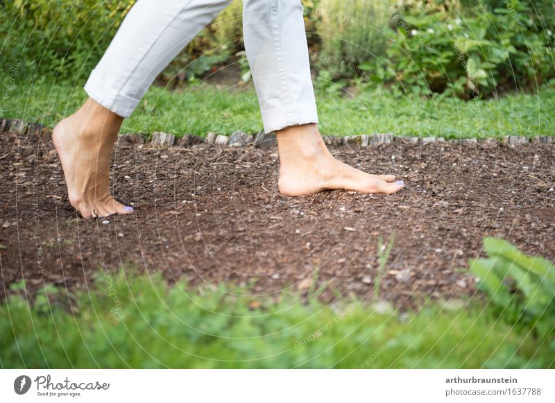 Walking barefoot in nature Lifestyle Healthy Athletic Leisure and hobbies Vacation & Travel Tourism Trip Summer Hiking Garden To go for a walk Promenade