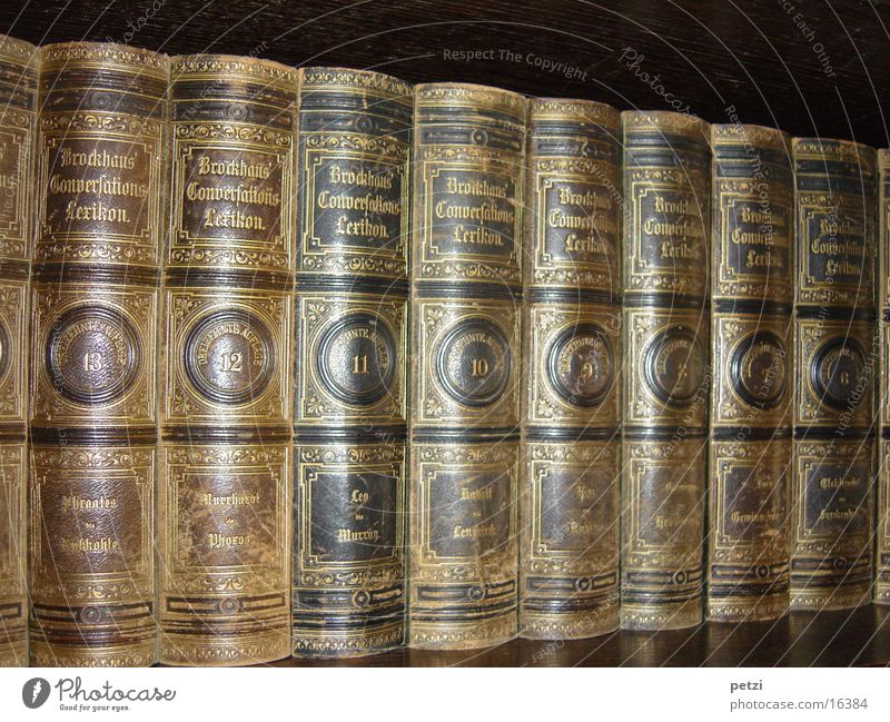 brock house Book Old Gold lettering volumes leather binding Colour photo Interior shot Central perspective Long shot