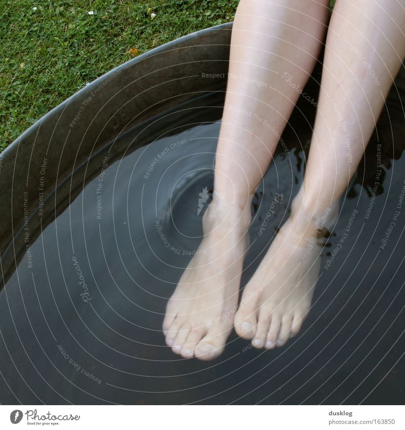 footbath Colour photo Subdued colour Multicoloured Exterior shot Detail Aerial photograph Underwater photo Experimental Abstract Copy Space left