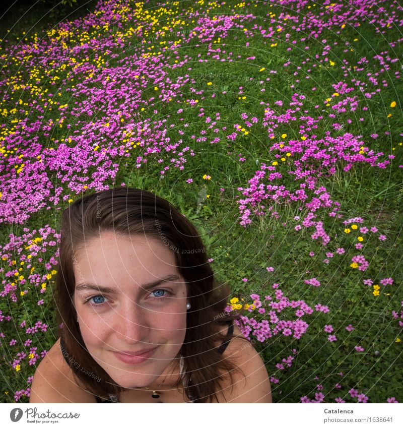 Flower meadow and a smiling face Feminine Young woman Youth (Young adults) Head 1 Human being 18 - 30 years Adults Nature Plant Blossom Clover blossom