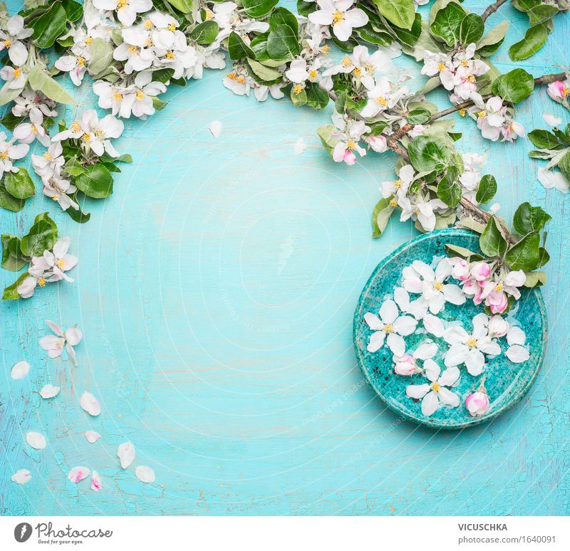 Spa or wellness background with flowers and water bowl Style Beautiful Personal hygiene Wellness Well-being Senses Relaxation Meditation Fragrance Cure Summer