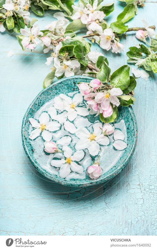 Floating flowers in a turquoise blue bowl Style Design Beautiful Personal hygiene Cosmetics Healthy Alternative medicine Wellness Life Well-being Senses