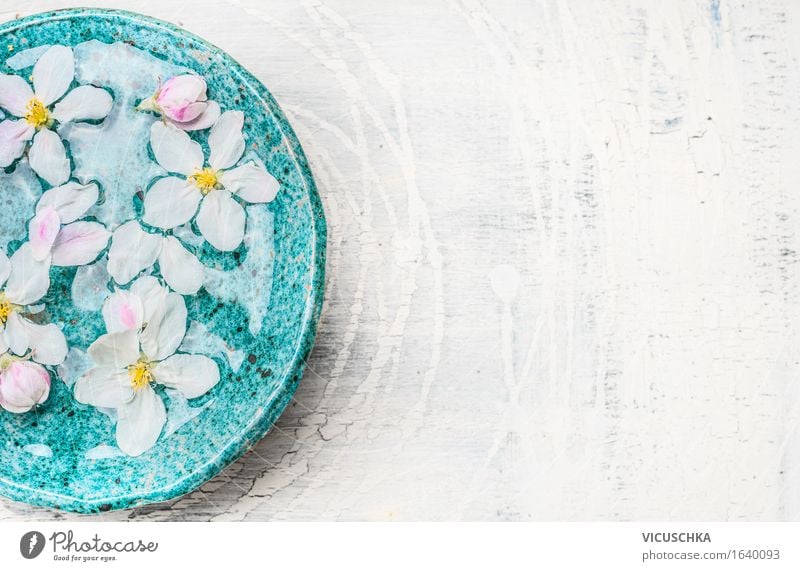 White flowers in turquoise blue bowl with water Style Design Beautiful Personal hygiene Cosmetics Perfume Healthy Alternative medicine Wellness Well-being