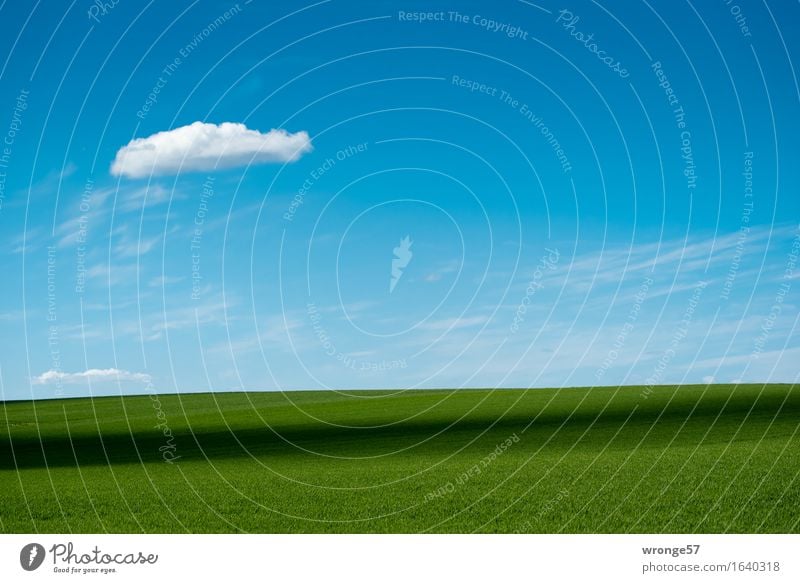 exchange country Nature Landscape Plant Earth Air Sky Clouds Horizon Spring Beautiful weather Agricultural crop Grain field Wheatfield Field Edge Infinity Blue