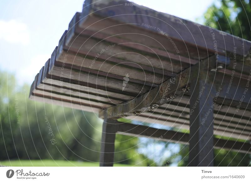 Park bench view from below Wood Metal Authentic Gray Bench Garden bench Seating expedient Wood strip Break Subdued colour Exterior shot Deserted Copy Space left